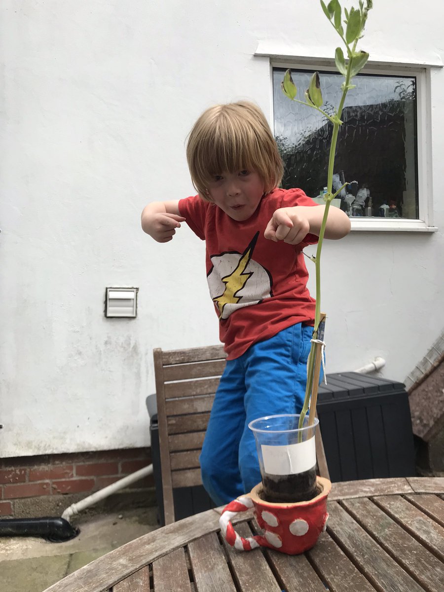LauraBowcutt's tweet photo. @SomersPark1ER J is very proud of his plant’s progress! He wanted to show you! https://t.co/mfPReWest4