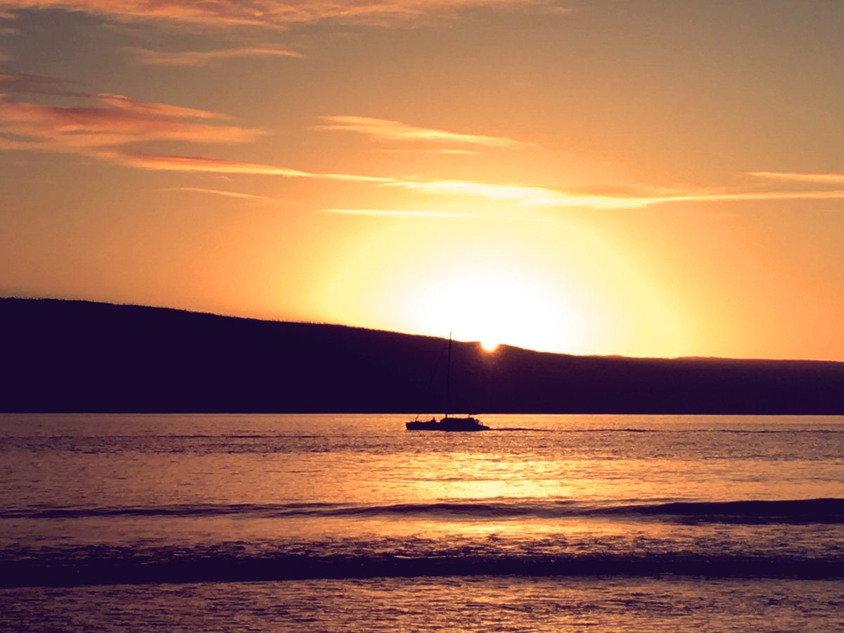 Chill memories back to the Californian lifestyle, a daily living dream just if you want to 🌴🥥🌴

#Life #Nature #music #science #culture #pleasures #respect #takeabrake #beach #trailrunning #freedom #photooftheday #revolutionofminds #nextgen #newseason #trendy #summeriscoming