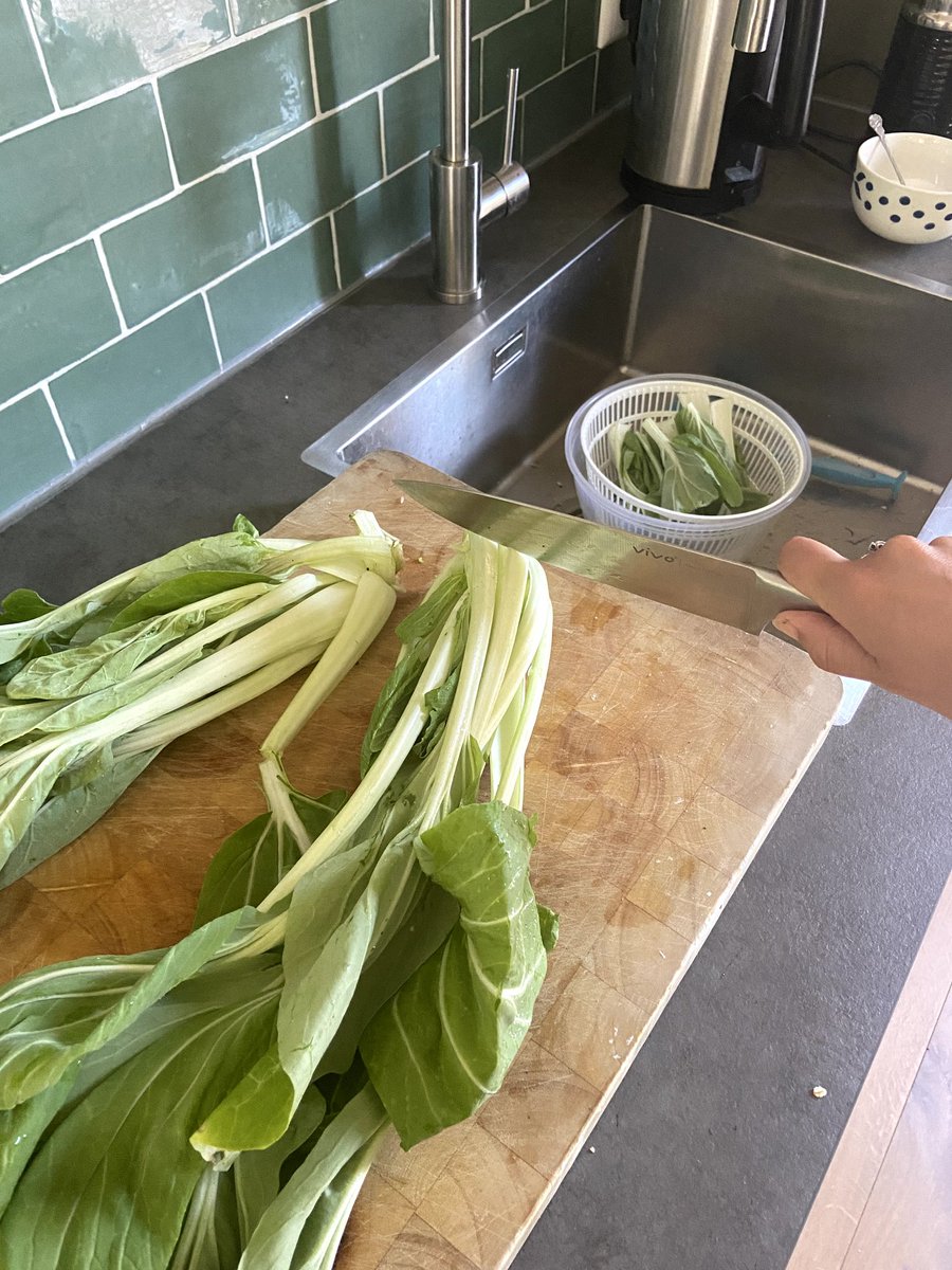 kruidenkaartje's tweet photo. From seed to meal
#fabkookt #gardening #garden #paksoi #kitchengarden #moestuin #Homegrown #vegetables #farmersmarket #FarmerTime https://t.co/8umKQgdFlS