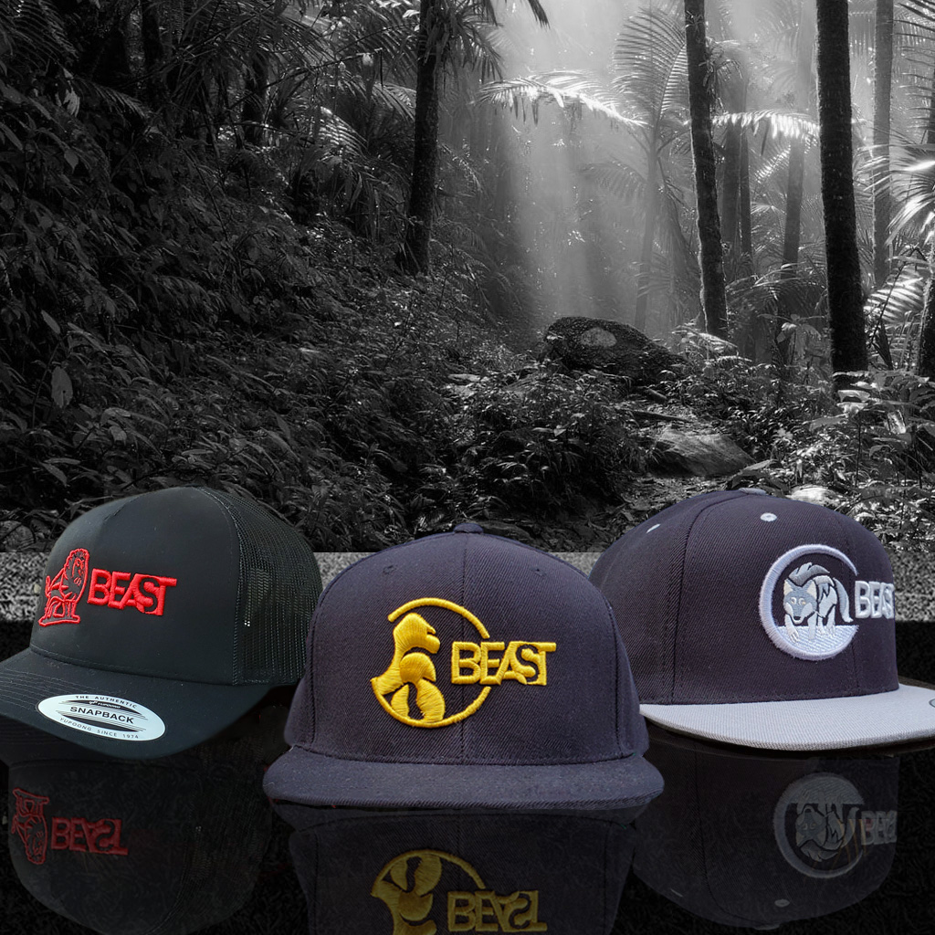 Beastyle (@Beastylenyc) / Posts / X