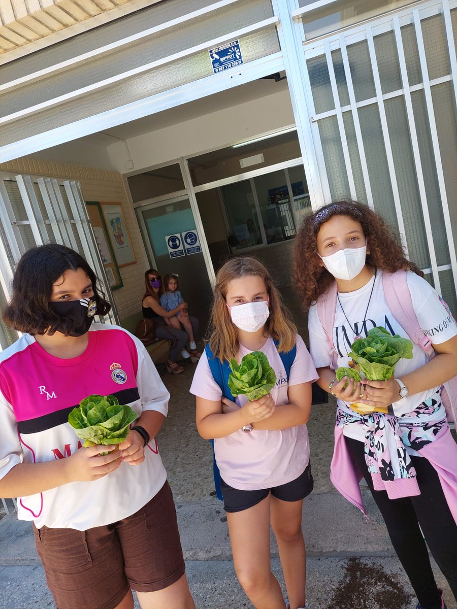 CbmSra's tweet photo. ¡Viva nuestro huerto y su cosecha! 🍅🥬🥗🥒 https://t.co/8wbmA0B35c