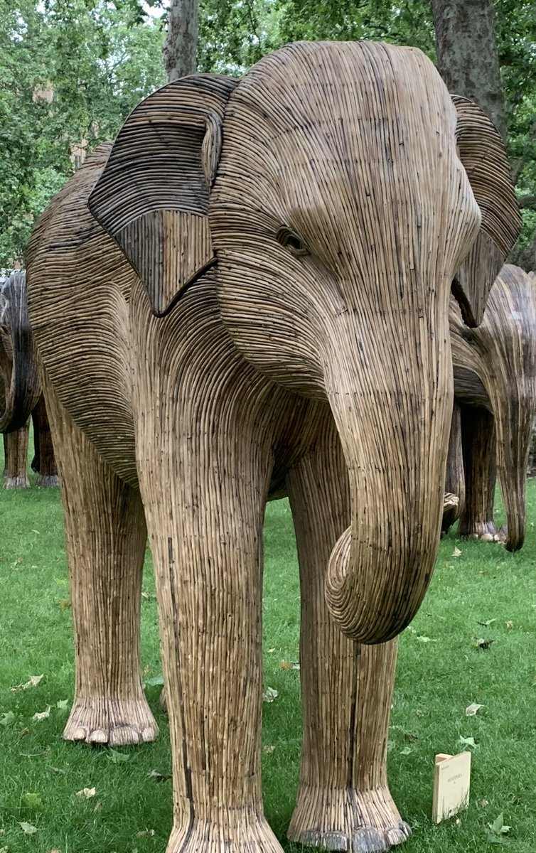 carabwilliams's tweet photo. Got to Green Park, London to see these beautiful sculptures today with the fam #FamilyTime #GreenPark #London #GetOutdoors #Sculpture #Elephants #MercerLittles #Downtime #Weekends @lifeatmercer https://t.co/bAtCbJzIHR