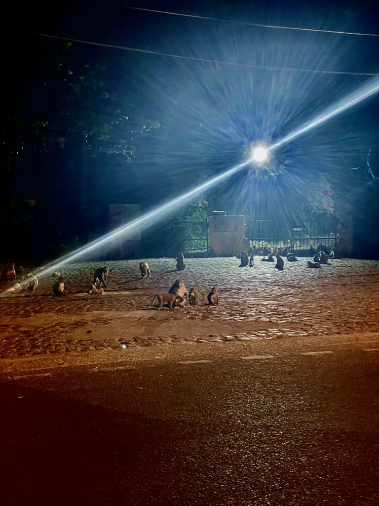 Rohini Singh tweet media