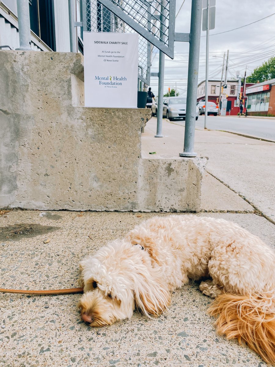 littlejoybook's tweet photo. ๐ฏ๐ถAfter that, we headed to @anaandzac's awesome sidewalk sale. Their adorable dog Honey Bear is pictured lounging at the entrance by the sign explaining that all proceeds go to @MentalHealthNS.
@DalManagement #mgmtRACK https://t.co/XTPuYWenh4