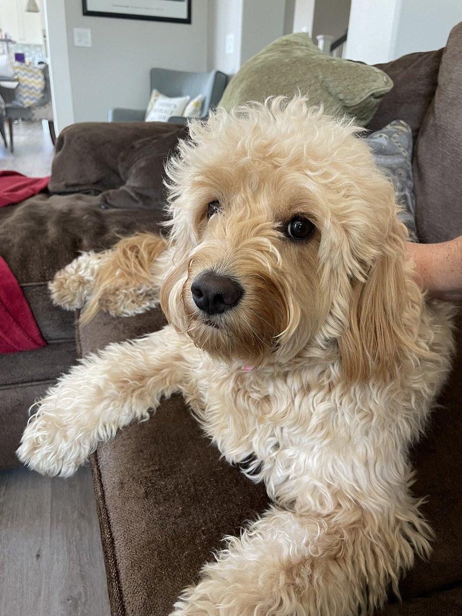 Worth Wollpert tweet media