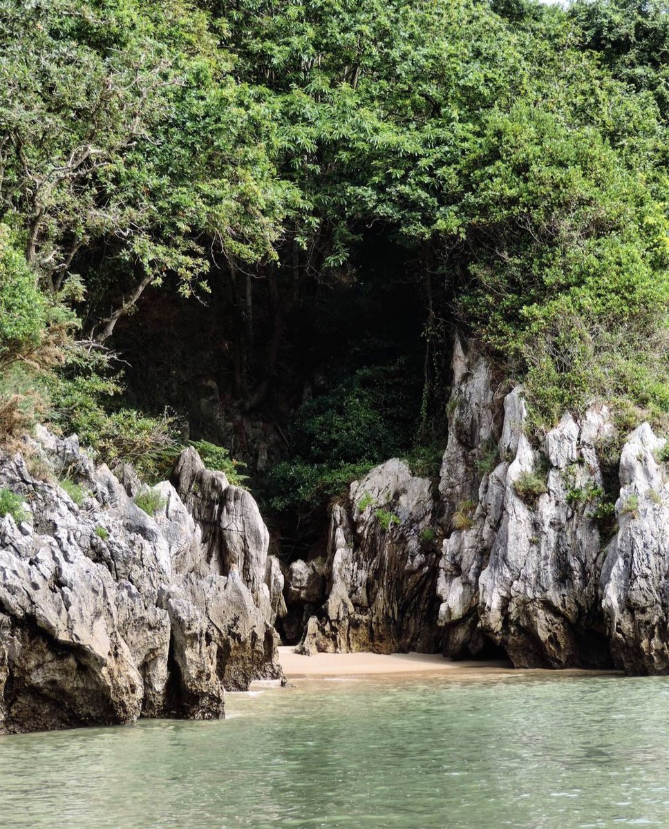 Postureo_CANT's tweet photo. Los envidiosos dirán que esta cala está en Tailandia 🇹🇭 

¡Pero no! Esto es Cantabria 🇵🇱💢

📷 IG conoce_te_ https://t.co/XTTwP3EbqV