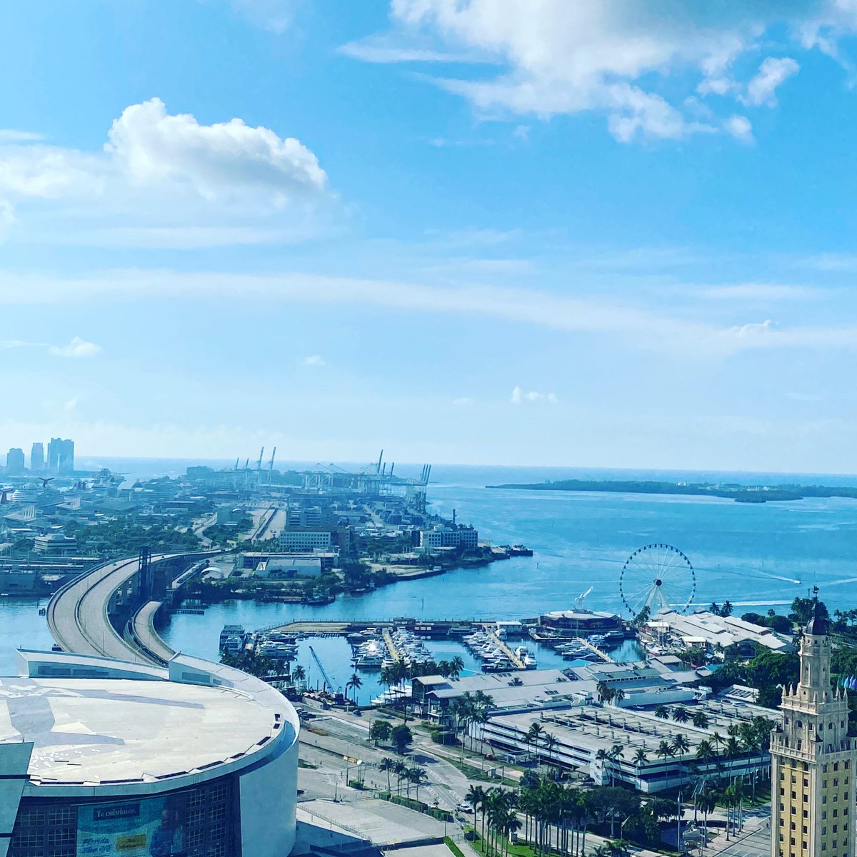 PalmBeachTattle's tweet photo. Guess where I am?! 😎☀️🌴🌊💁🏼‍♀️
.
.
#Saturdayvibes #MiamiBeach #Miami #DowntownMiami #SoFlo #PalmTree #PalmTrees #MiamiLife #SouthBeach #DesignDistrictMiami #WynwoodMiami #PalmBeachTattle #PBT #TattleTale #TravelBlog #TravelBlogger #Destination #Vacation #Luxury #LuxuryTravel https://t.co/I0D4ufEWqI