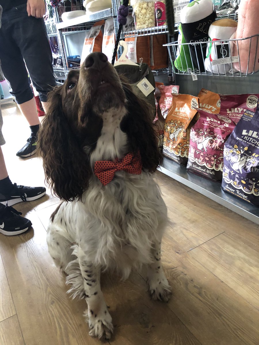 furbabies_ltd's tweet photo. We met lots of @HarborneBA’s adorable #furbabies @ our Opening Pawty 🐾🐶🐱 We’ve had such amazing feedback on our range of products. Thank you for supporting us❣️ #Birmingham #birminghamlife #birminghamdogs #birminghamcats #harborne #b17 #harbornelife #harbornedogs #harbornecats https://t.co/kg0MYhuwv8