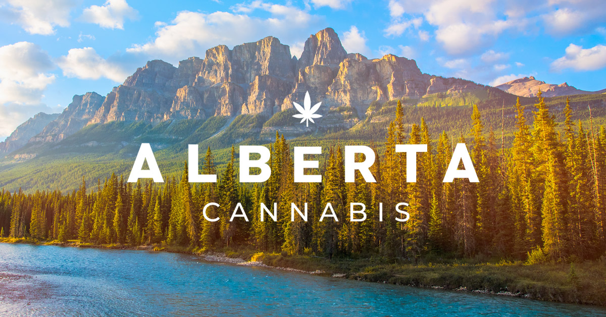 Alberta Cannabis now offers more than 1,100 products from over 85 different licensed producers, with almost 20% from Alberta. With so many choices, it makes sense to buy legal. Visit albertacannabis.org to find a licensed retailer near you.