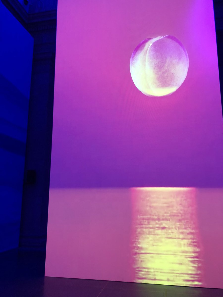 arminkhaya's tweet image. @anitlinn 👁☁️🍑🐘