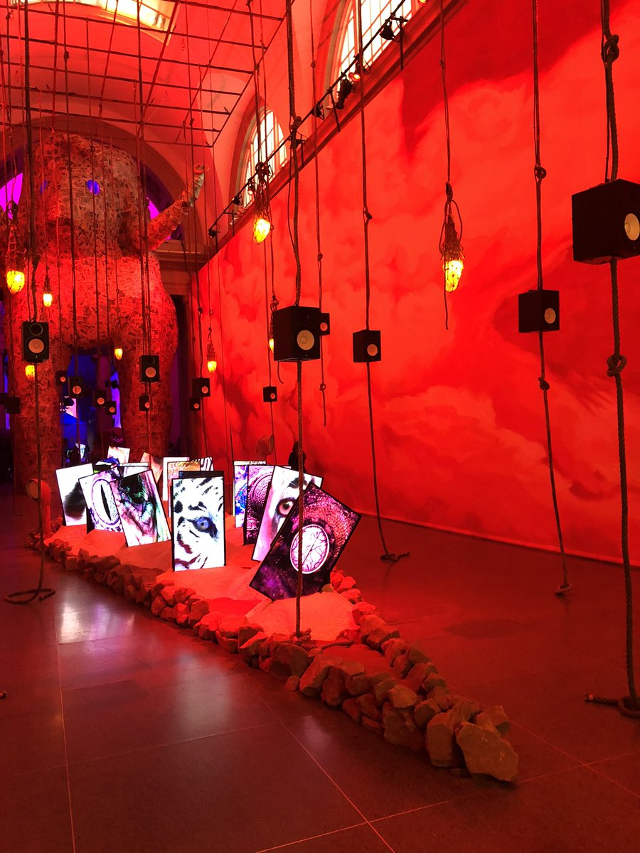 arminkhaya's tweet image. @anitlinn 👁☁️🍑🐘