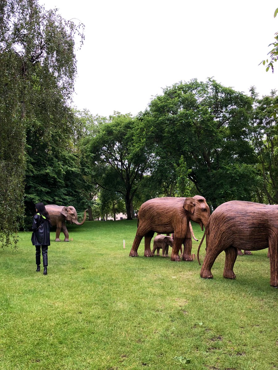 arminkhaya's tweet image. @anitlinn 👁☁️🍑🐘