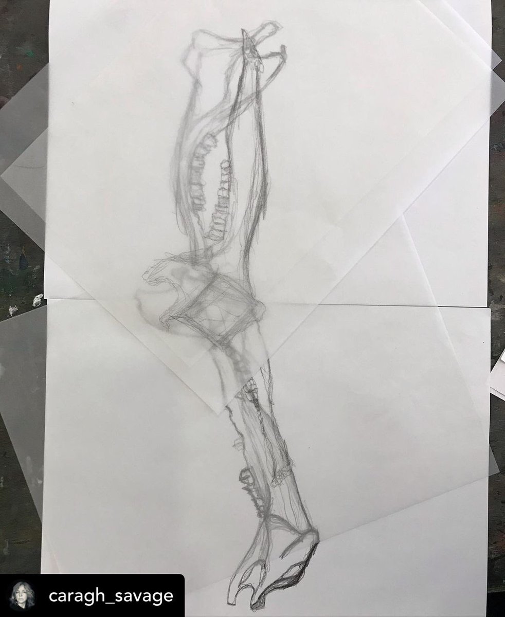caragh_savage's tweet photo. Some super layered and composite images from the 11-16yr old students in today’s Drawlab! (Today they were aged 11-14)
#observationaldrawing #caraghsdrawlab #teachingdrawing #drawing @CASSART1984 Kingston https://t.co/KdSAsss9xx