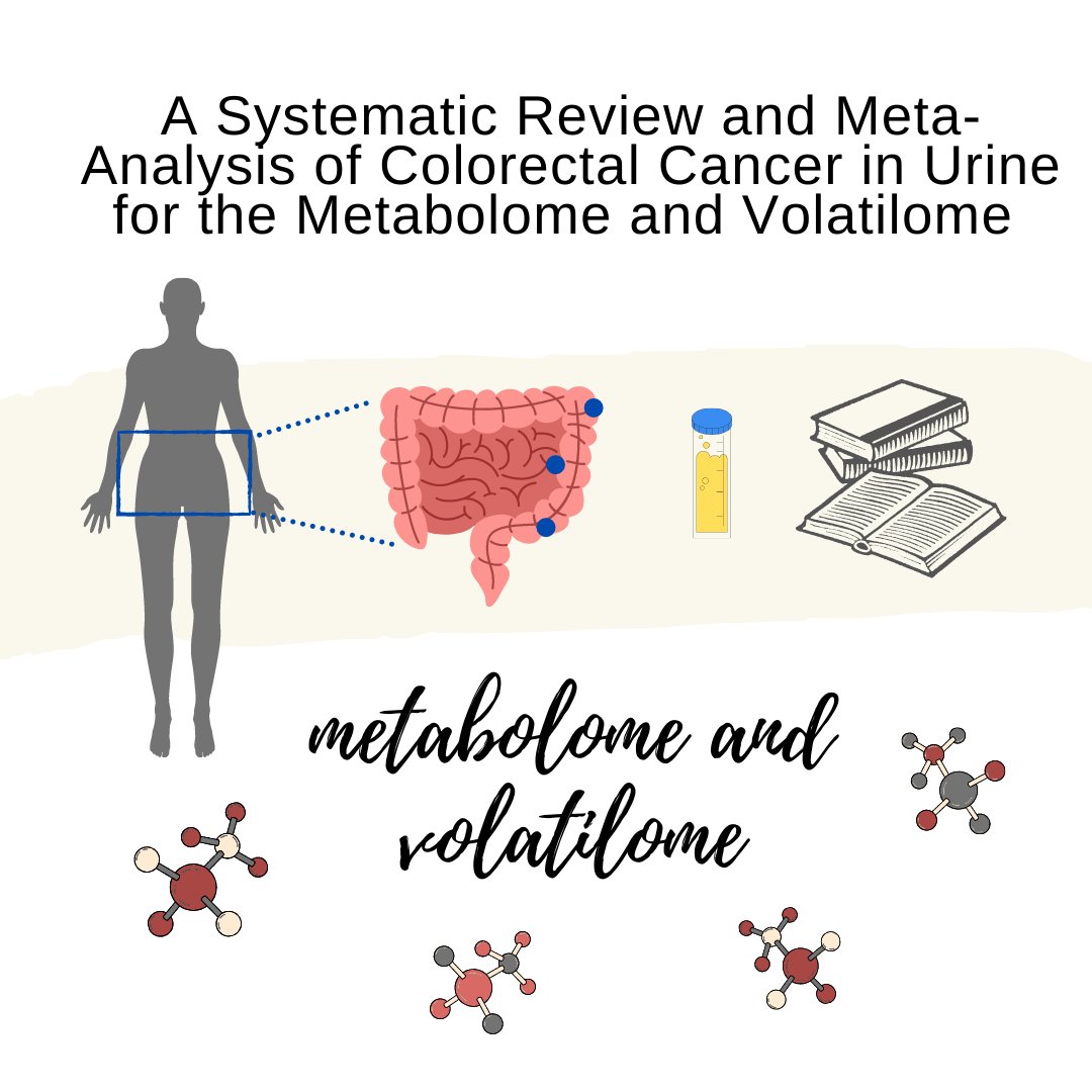 EMN_MetSoc's tweet photo. One more graphical abstract sent by @mllambrich. Be sure to check her poster #411. 

"A Systematic Review and Meta-Analysis of Colorectal Cancer in Urine for the Metabolome and Volatilome"

#MetSoc2021 @MetabolomicsSoc https://t.co/qy8rLVc6Zd