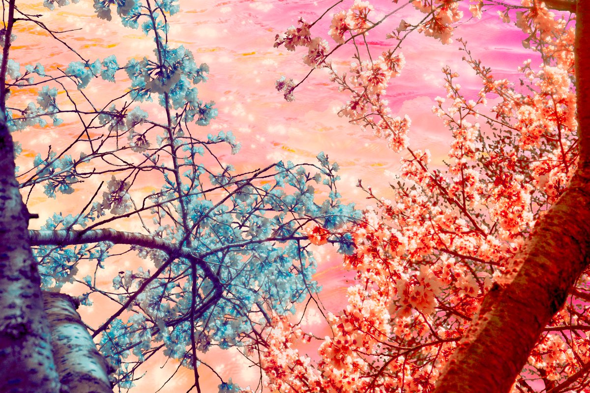 I create dreamworlds from my photos