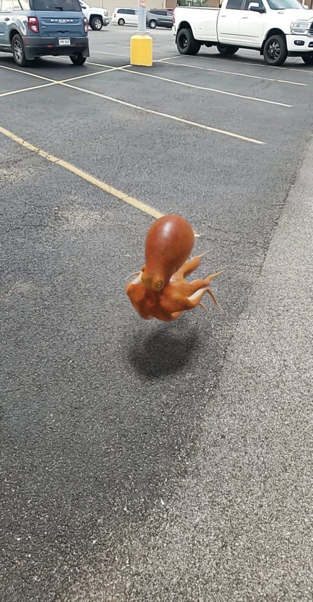 Courtesy_Patrol's tweet photo. I ate octopus at my birthday dinner. Didn't take a picture but i can show you what it would have looked like if the octopus was alive and in the parking lot. https://t.co/ClxbXPENNI