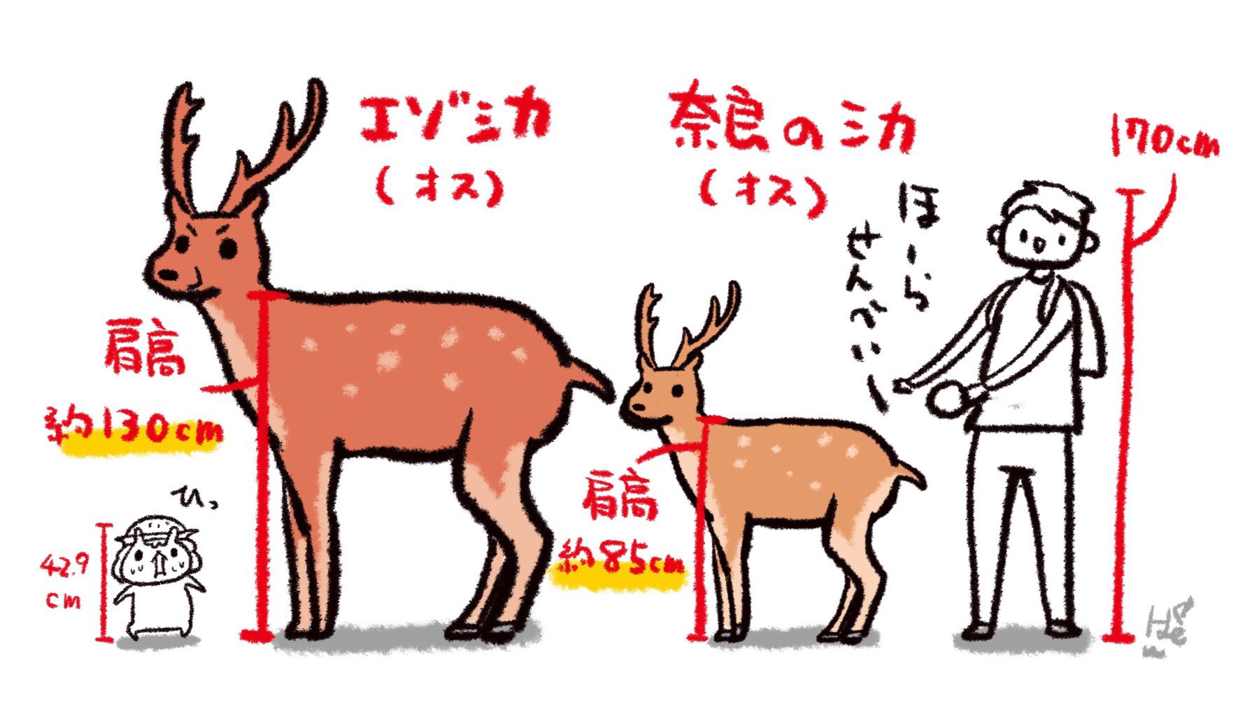 奈良のシカとどう違う？北海道の「エゾシカの脅威」が分かるイラストに衝撃