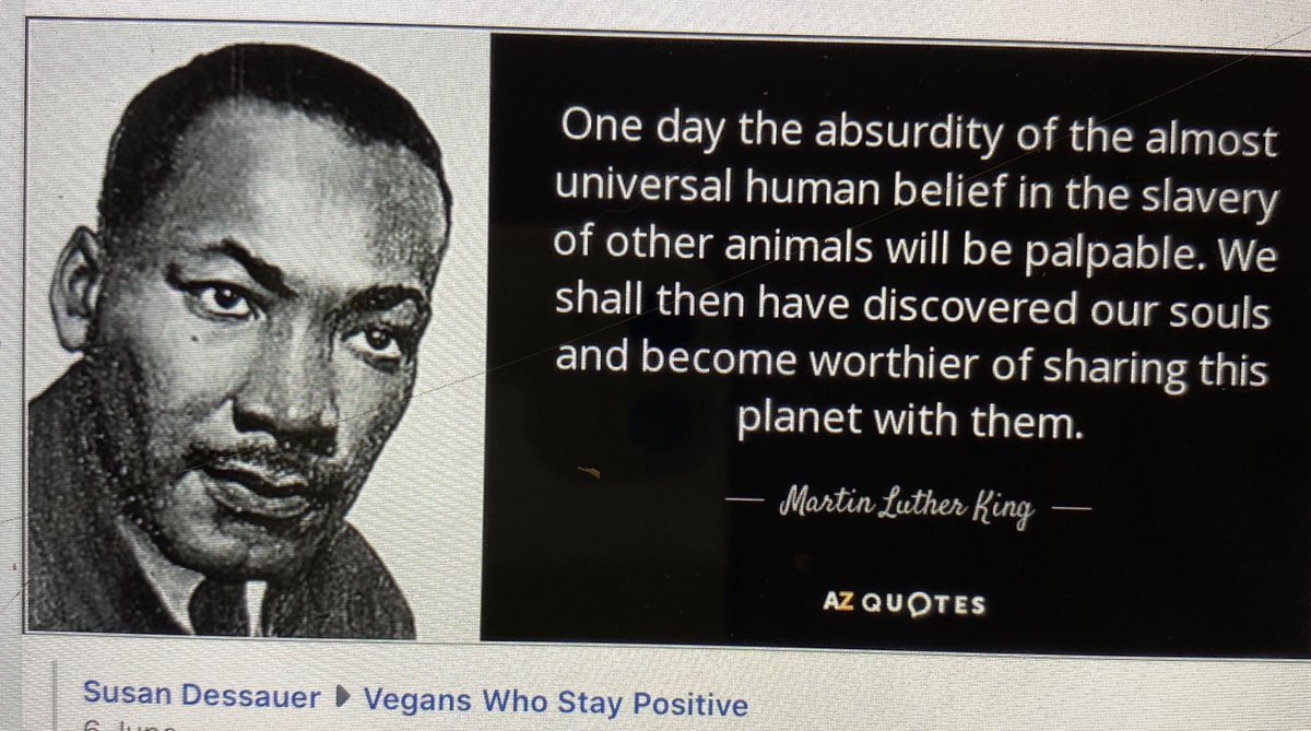 YvonneHooper20's tweet photo. @AllenLEllison #Freelolita 😞51 years a slave 🌎🇺🇸 A sea sanctuary awaits at no cost to the tax payer. https://t.co/ZjjKXOAcb9