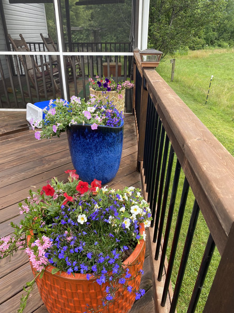 DaveMic49712574's tweet photo. The deck of the rental has its own potion garden. #Skyrim #Davecation
cc @allenstenhaus @PeepersRises https://t.co/jNL0a7reu2