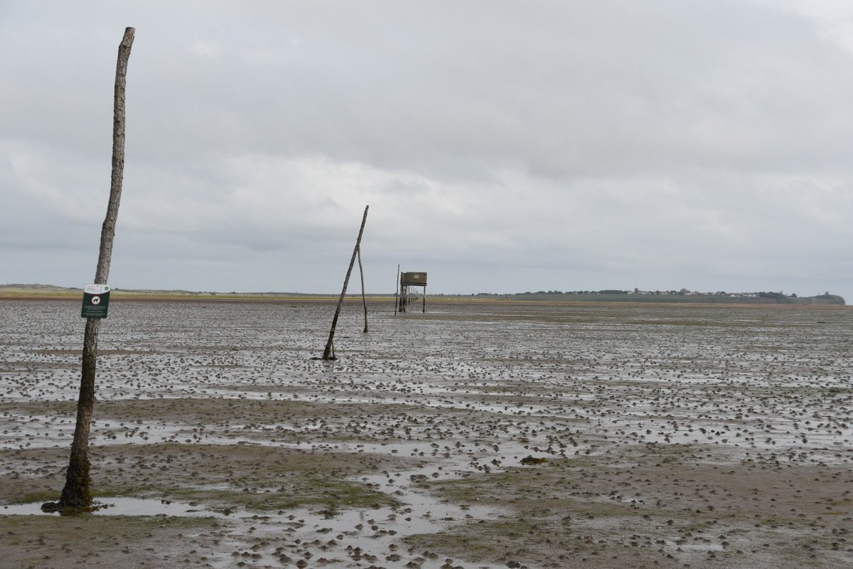 KevinWeatherman's tweet image. Walking on the path of pilgrims across the tidal sands to Holy Island and #Lindisfarne #PilgrimsWay