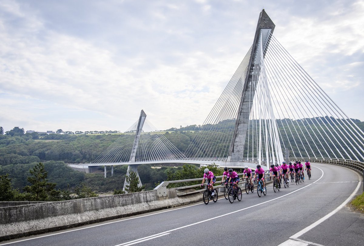 Matthew Townsend tweet media