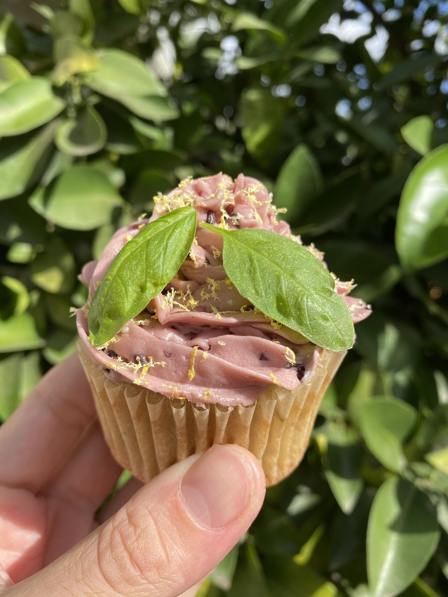 LeafStoneVegan's tweet photo. Instagram blocked our regular account!! Here’s our back up!! 

Can we get 50 followers in a week?! 

https://t.co/g6YjevIHAS

@elliottfraser @SneauxFall_ 

#LeafStoneVegan #VeganFood #VeganLife #Edibles #Crystals #Chakras #QueerOwned #BlackOwned #BLM https://t.co/aHQCykE1LF