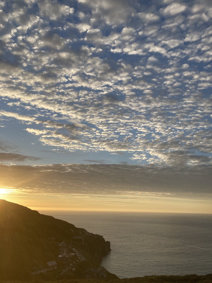 Not really missing overseas travel