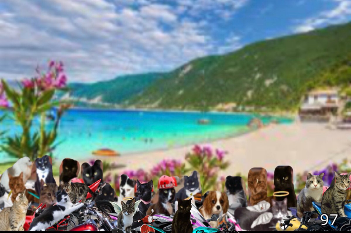 @BigBlackBeast4 <a href="/louistabbycat/">harry</a> <a href="/scrag_cat/">Aunt Scwagers 😹 🌈 Bridie 🌈Blackie🌈Kitten</a> <a href="/DUCHYKINS3/">❤Duchy ❤</a> <a href="/jerry_tuxedo/">Angel 🌈 Captain Jerry - RIP 1.8.2013-17.6.2025</a> <a href="/BungandZip/">Zippy, Freddie, Brodie and Angel Bungle🌈</a> <a href="/Charliebear2508/">Lottie & 🌈Angel Charlie</a> <a href="/CaptLottie/">Capt Lottie Angel Cat 🌈🐈‍⬛🐾</a> <a href="/charlie_cat10/">Charlie,Molly,Cooki🌈 an the cheeky kitty's</a> @KelliDa80763885 <a href="/TabbyBoyIsaac/">Sisfur Milly & OTRB - 🌈Brofur Isaac 🌈</a> <a href="/PumpkinDeKitty/">Pumpkin🎃🐱❤️</a> <a href="/aka_layla/">Fin, Misty and Angels H, B, L and T🌈</a> <a href="/thecatscastle/">The Cat's Castle</a> <a href="/JoyceWallach/">Joyce Wallach</a> looking out for Angel Louis #theruffriderz 97