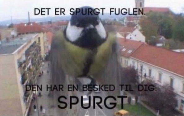 Brainlagz tweet media