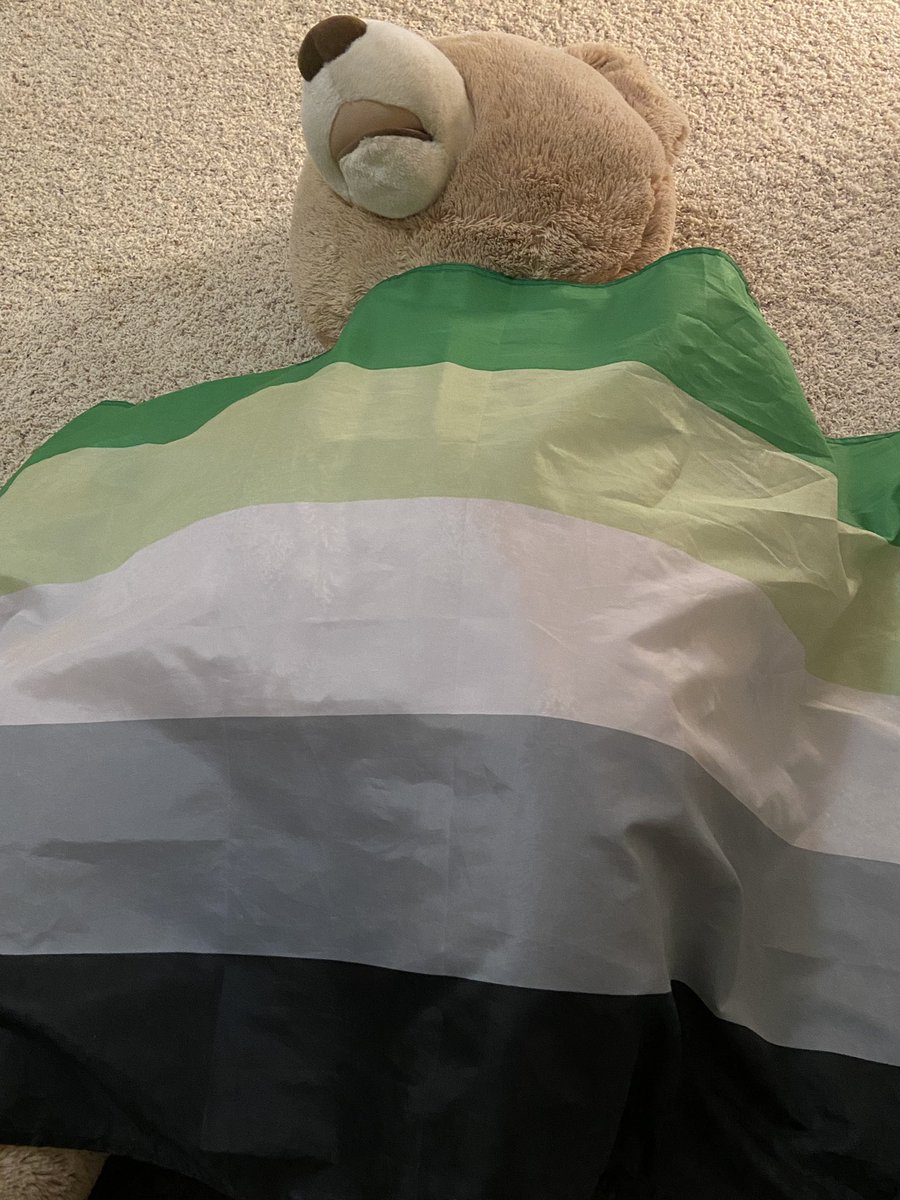 AroPositivity's tweet photo. this giant teddy bear says aro rights https://t.co/l7FAXONzR9