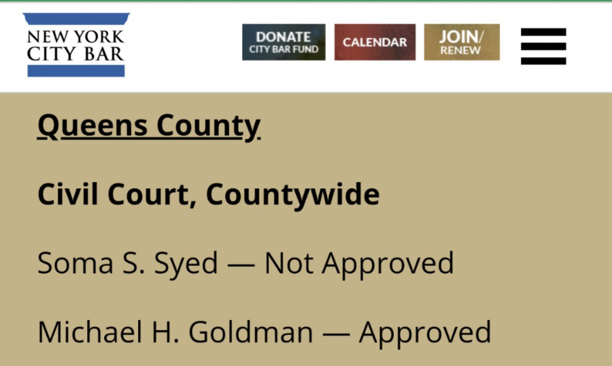 GoldmanQueens's tweet photo. @OzzieAraujo @srfeld @sylvia_nyc Andrea Ogle is actually running for a different Civil Court seat and does not have a primary opponent. https://t.co/Cu8XhGO3Nw