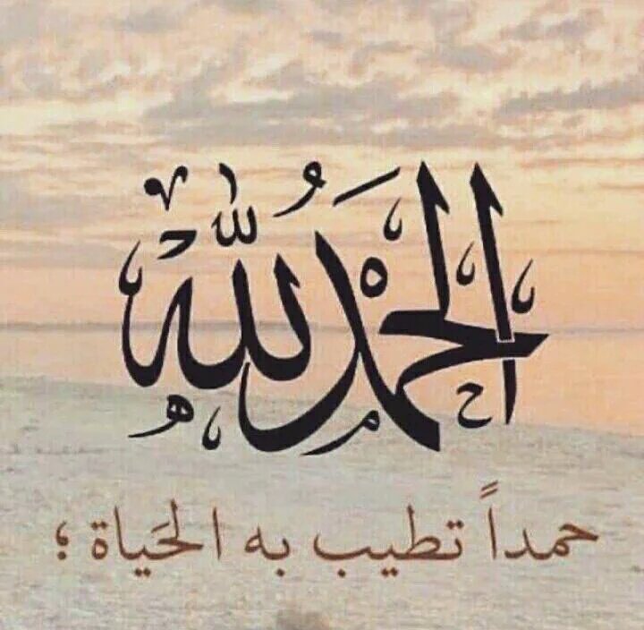 أميره الورد🌸🌸 on Twitter: 