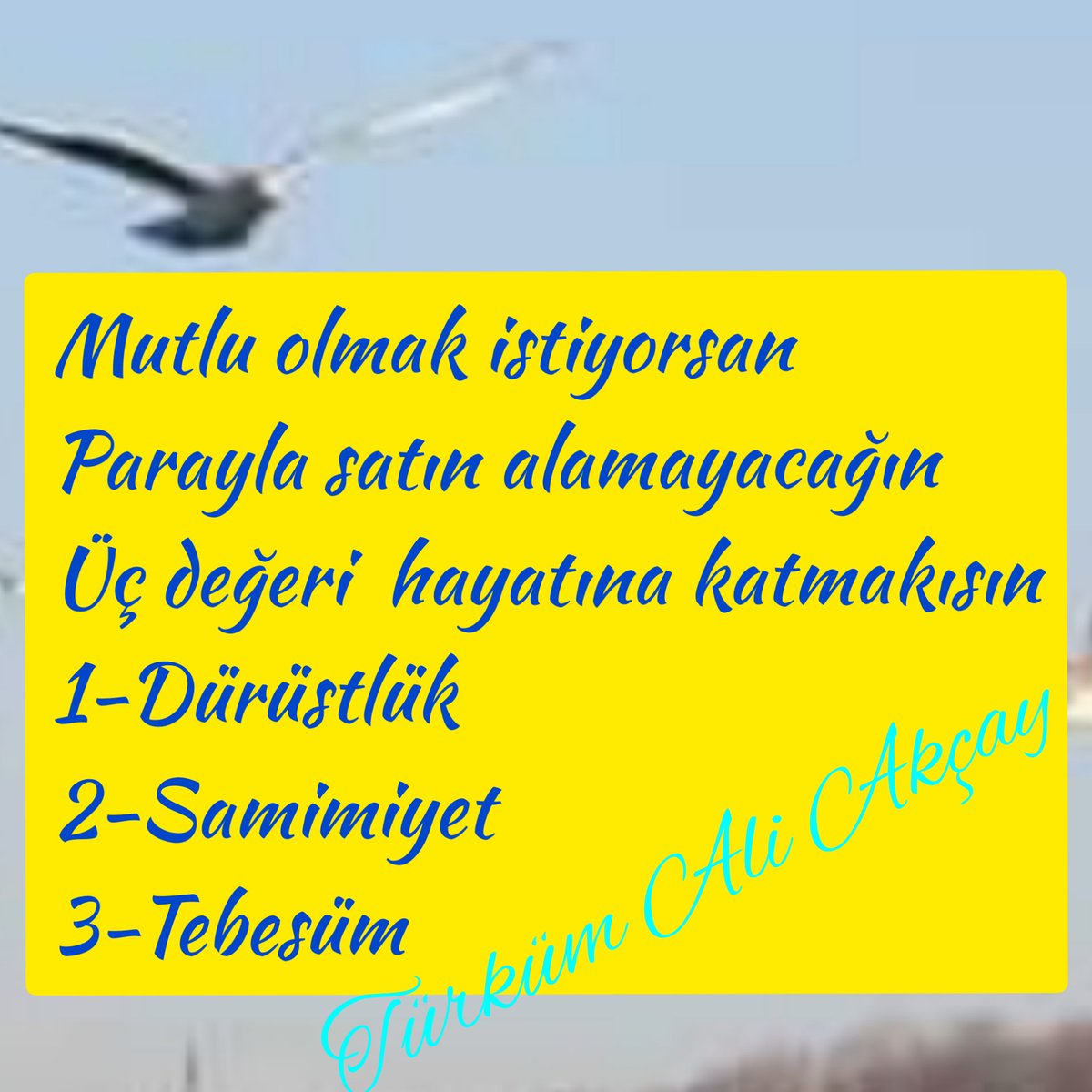 Türküm Ali Akçay (@adamo_07) on Twitter photo 