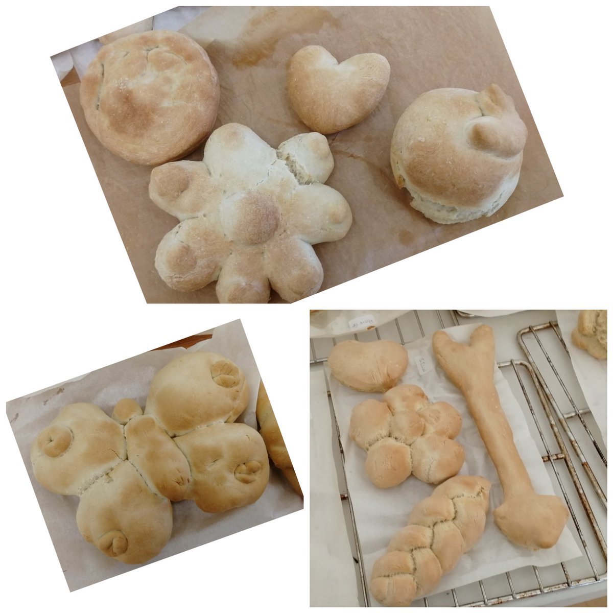 Andy Rowe tweet media