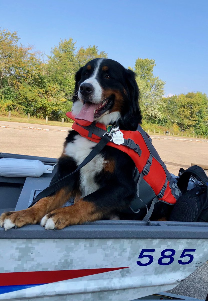 CPD Therapy Dog Unit tweet media