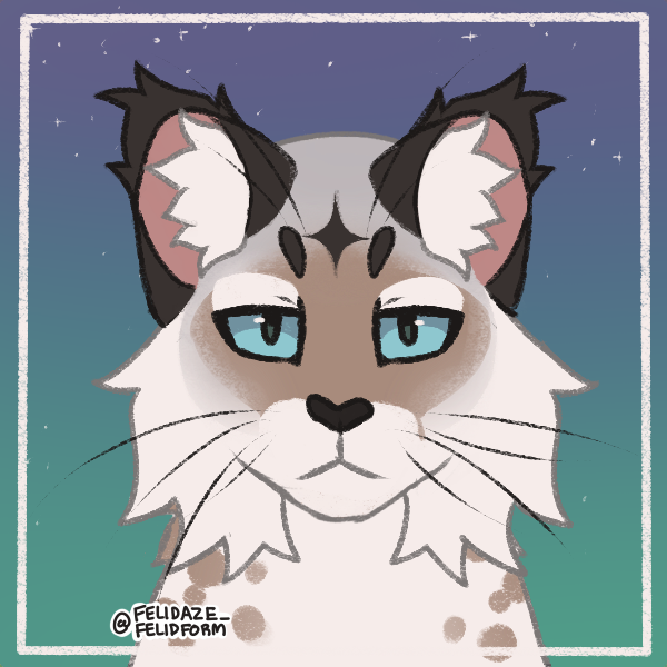 felidaze's warrior cat creator｜Picrew