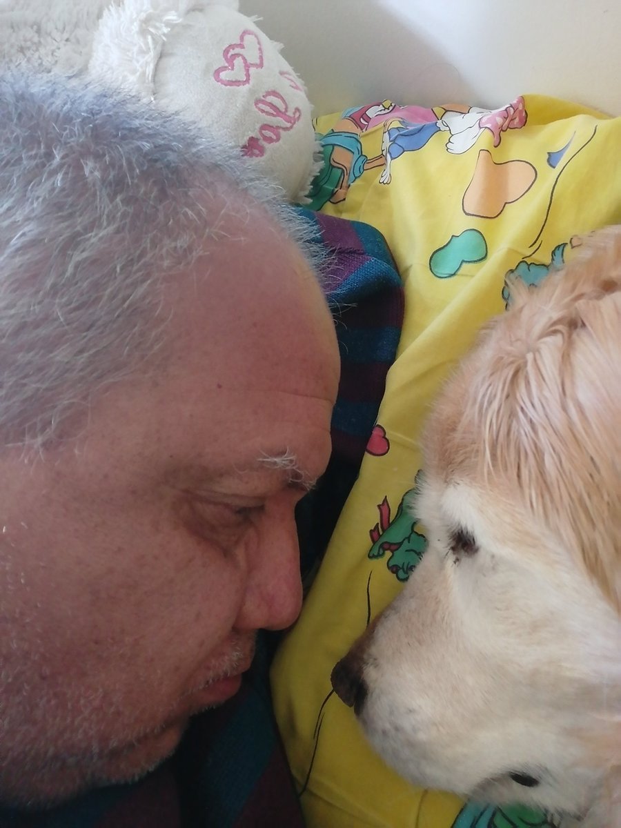 carloshtorivera's tweet photo. Muñeca, mi compañera durante casi 17 años, viaja mañana, a descansar. Esta vez la dejaré partir. https://t.co/CLFW4lLfh4
