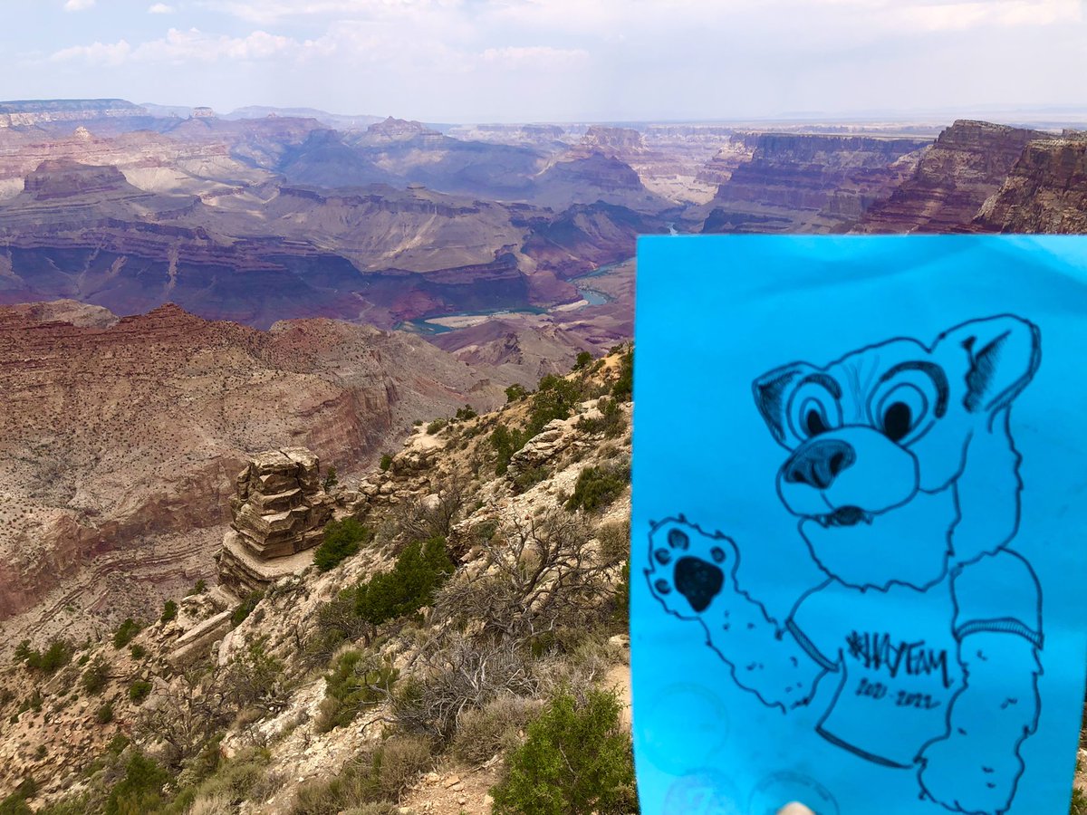 Bob is enjoying the views of the Grand Canyon! #hayfamsummer <a href="/haycockcougar/">Haycock Elementary</a>