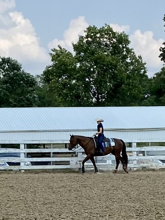 Hallsville is braving the weather for the fun of the 4-H expo at the fairgrounds. Stay hydrated, everyone! #HVLearn