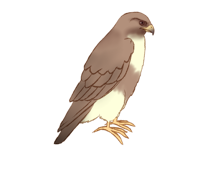 鳥さんのtwitterイラスト検索結果