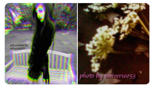 universe053's tweet photo. #art #edits #picturecollage #eugeniacooney #nature #gardenvibes #flowers https://t.co/OCDAtAeoet