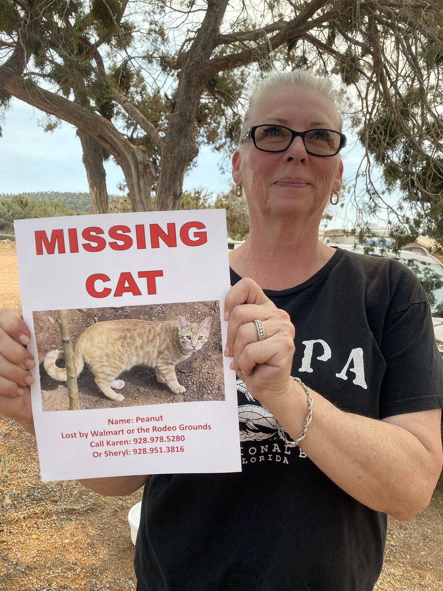 JoshSandersX's tweet image. IN PAYSON: Heidi and her husband Steven evacuated from Pine due to the #BackboneFire. They’re looking for their neighbor’s car Peanut who went missing from the Rodeo grounds last night. @12News #Payson