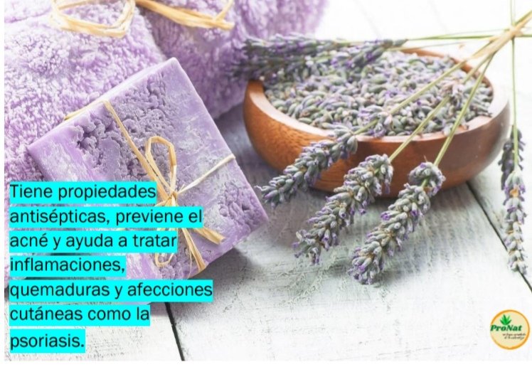 pronat15's tweet photo. #Pronat #belleza #natural https://t.co/NTzcjlKtvJ
