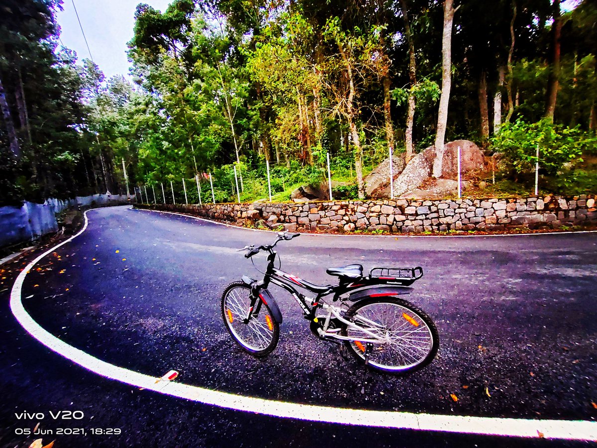 Empty roads for me to fill in.
#cycling #cyclinglife #cycles #cycletouring #cycletour #cycle #bicycle #bicycling #bicycles #bicycleride #bicycleride #yercaud #yercauddiaries #yercaudhills #yercaudtrip #cyclist #cyclists #cyclistlifestyle #ride #rider #riders #nature #naturelover