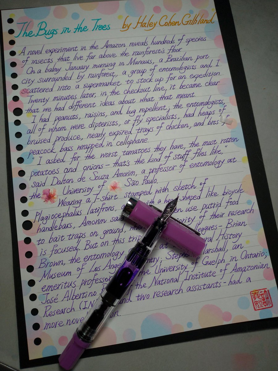 HsuMaika's tweet photo. Practice with TWSBI ECO (EF &amp; F)
#fountainpen #handwiting #TWSBI
#鋼筆字 #手寫字 #三文堂 https://t.co/hKxBQhJMkT