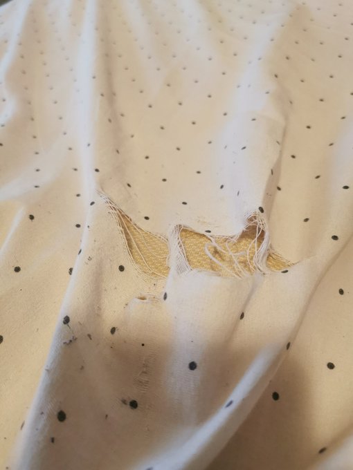 I guess I've been a bit too rough on my sheets. https://t.co/FEFV1Yw4Rh<a href="/tag/bbw"class="tags"><span>#bbw</span></a><a href="/tag/bigboobs"class="tags"><span>#bigboobs</span></a><a href="/tag/camgirl"class="tags"><span>#camgirl</span></a><a href="/tag/hugetits"class="tags"><span>#hugetits</span></a>