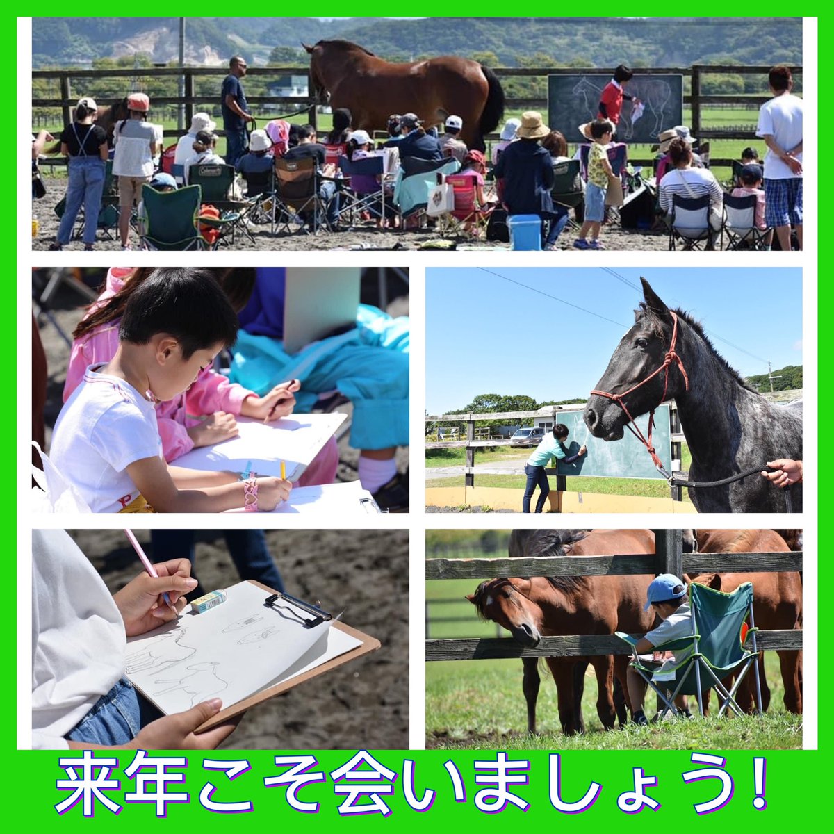 JNmgVRChxth7516's tweet photo. 例年9月に開催していた『じゅりちゃんのお絵描きイベント』ですが、先行きが見えないコロナ情勢を踏まえ、今年も開催を見送ることにしました😢
残念な気持ちでいっぱいですが、来年こそは、みんなが集まり、馬との触れ合いを楽しみたいと思っています😊
#新ひだか町 #おがわじゅり #馬 https://t.co/rr8vbg9yfm
