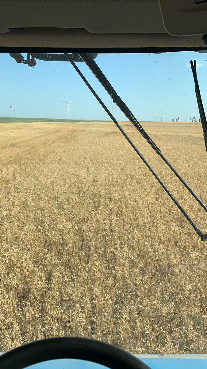 TPatzkowsky's tweet photo. Wheat harvest 2021 is underway! https://t.co/byERC0vtkc