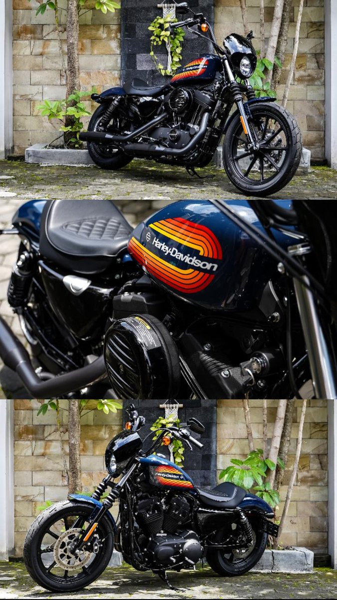 HDMC PREOWNED MOTORCYCLE tweet media
