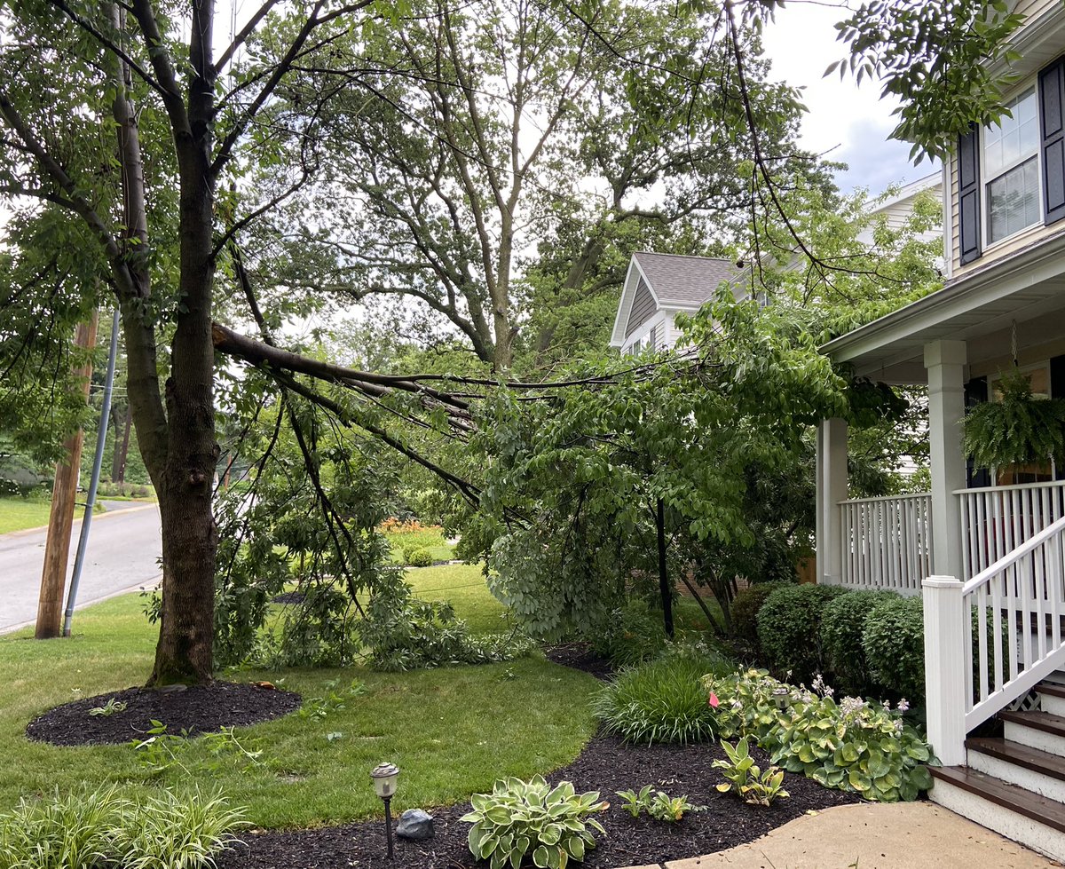 randouken's tweet image. This old bastard took out our internet. Didn’t realize how many games require you to be online. Guess we’re kicking it old school this weekend.